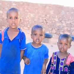 photo-2022-04-01-15-34-34